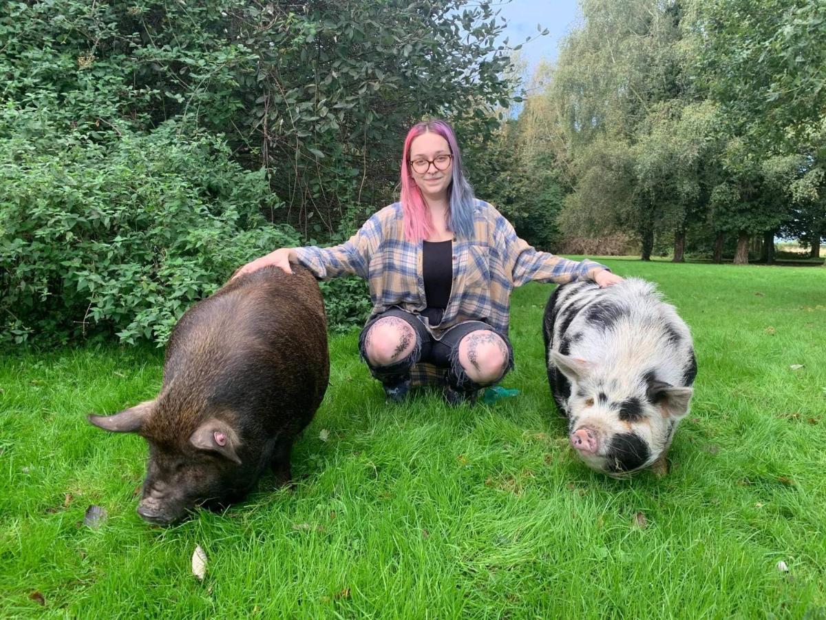 فيلا Starry Meadow & Rescued Animal Experiences غريت يورماوث المظهر الخارجي الصورة